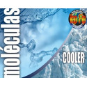 Molécula Vap Fit Cooler (Koolada) 10ml